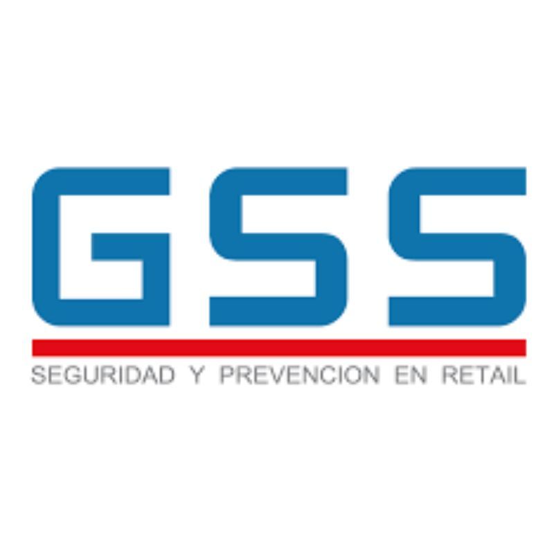 GLOBAL SECURITY SOLUTIONS S.A. DE C.V.