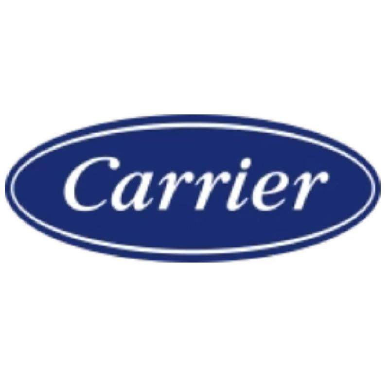 Carrier Fire & Security