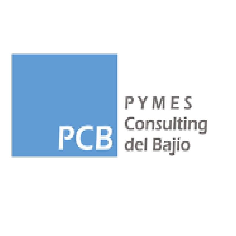 PYMES Consulting del Bajio SAS de CV