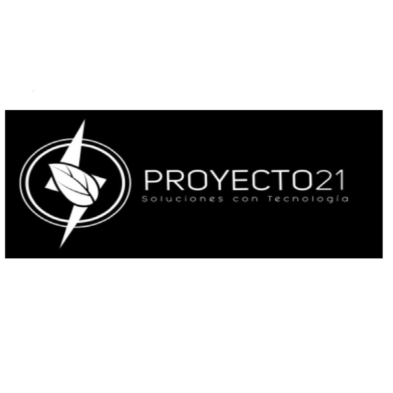 Proyecto 21